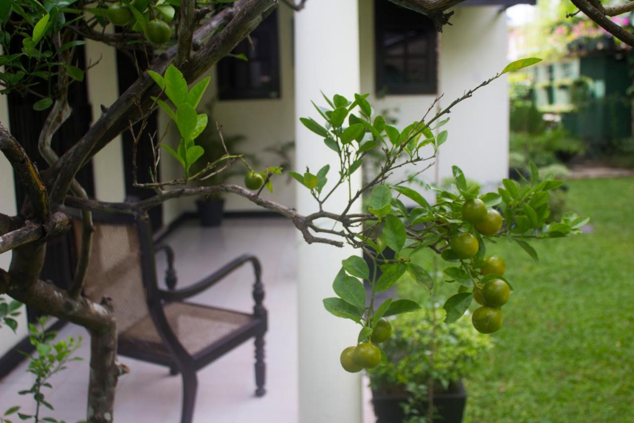 Airport Gateway Residence Negombo Exterior photo